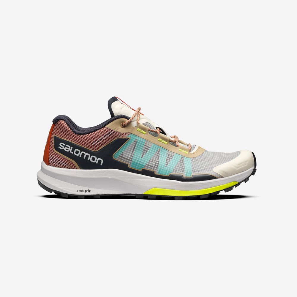 Salomon Singapore Mens Sneakers - ULTRA RAID Multicolor | 78105-JHVM